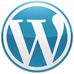 WordPress Design & Customization Expert
